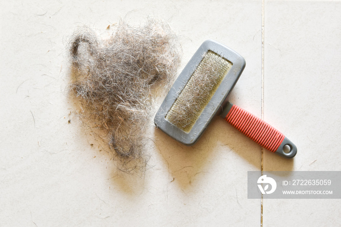 Big pile of dog hair and which brush to comb out the dog on floor, Bunch of dog hair after grooming, Shedding tool, Hair combed from the dog with brush, top view