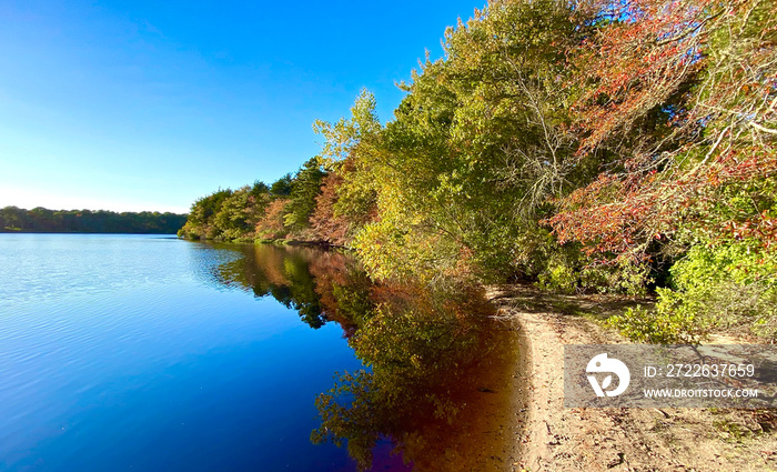 Cape Cod Fall Foliage in New England