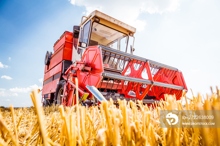 Mähdrescher erntet reifen Weizen. Landwirtschaft