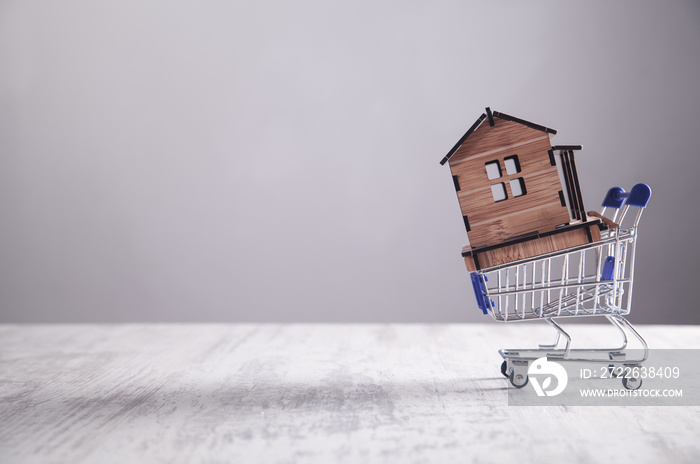 House model with shopping cart. Buying house