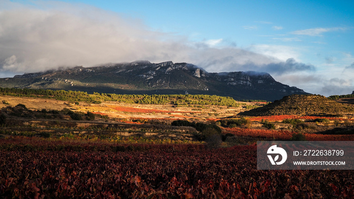 La Rioja is a province and autonomous community in northern Spain with a renowned local wine industry.