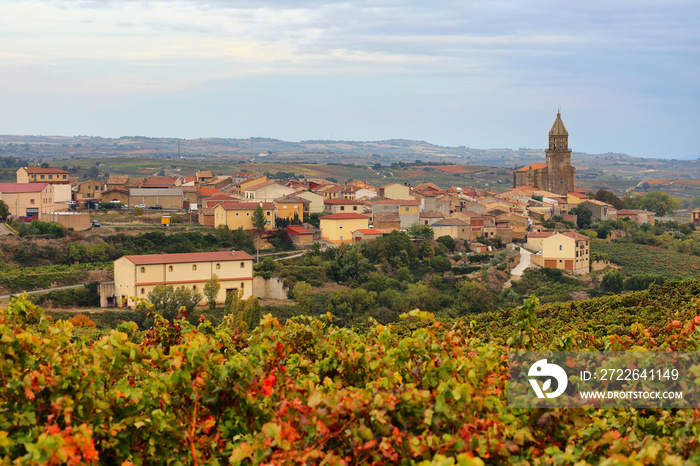 Autumn vineyards near Elvillar, Spain