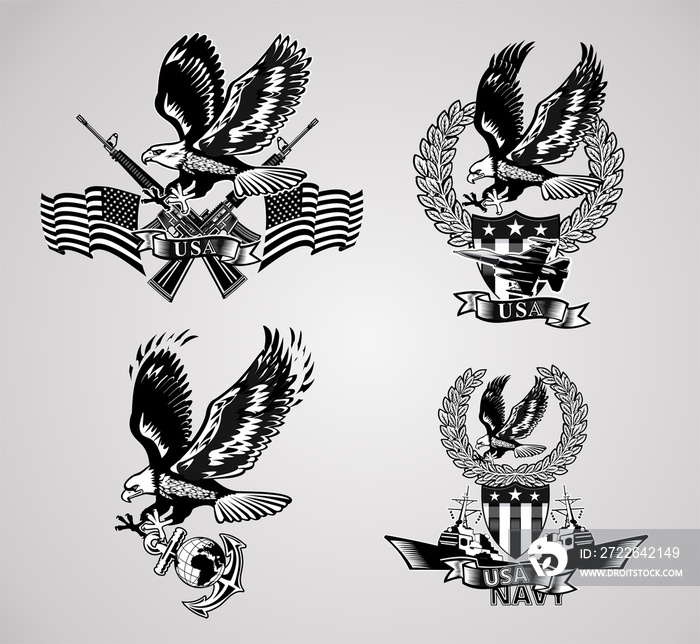 American eagle military marine and crossing rifles and Military combat aircraft