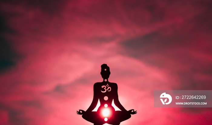 Illustration of a figure showing chakras - the color Pink shows the Root Chakra