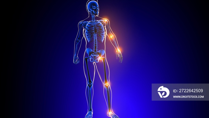 Human skeleton joint pain Anatomy For Medical Concept 3D