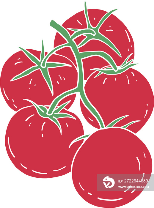 doodle freehand sketch drawing of tomato vegetable.