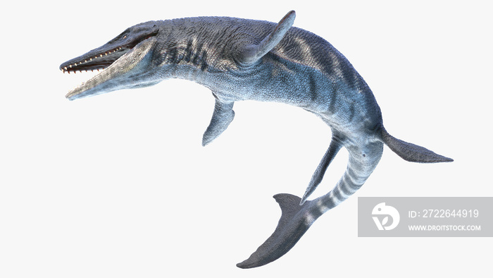 3d rendered illustration of Tylosaurus