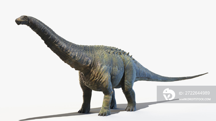 3d rendered illustration of an Apatosaurus