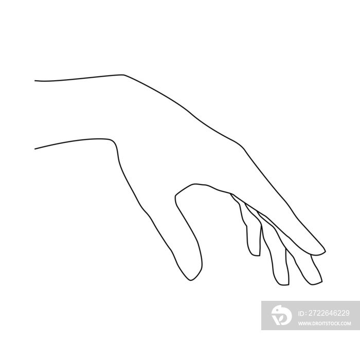 hand illustration isolated