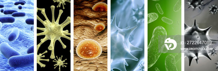 Set of vertical banners with pathogenic bacterias and viruses