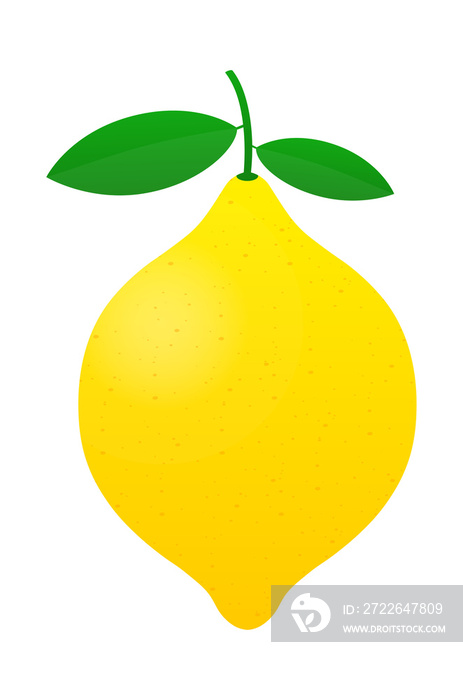 Lemon. Yellow lemon vector stock illustration isolated on white background.