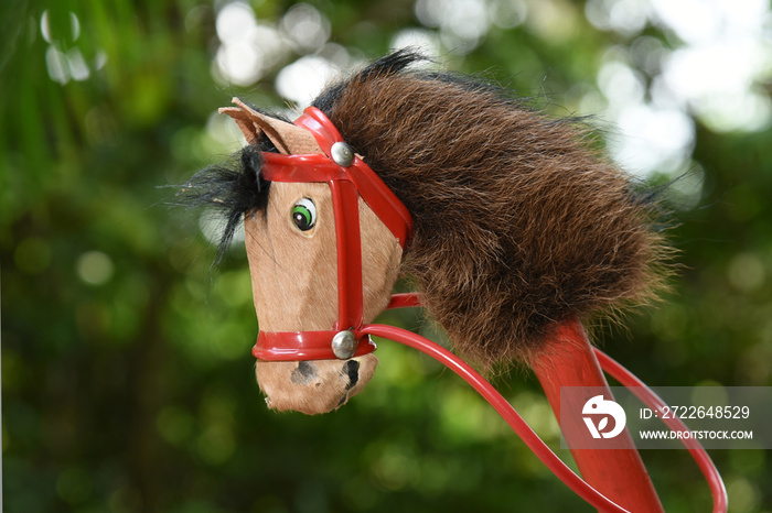 Wooden stick horse and brown stuffed animal. Traditional children’s game.