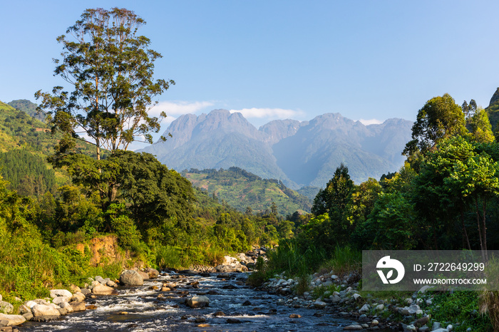 The rough wilderness of Rwenzori Mountains