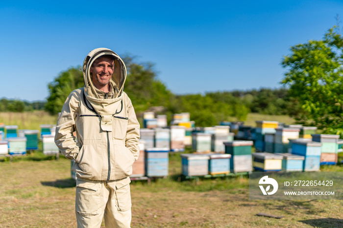 Honeycombs countryside with bee worker. Handsome beekeeper on apiary.