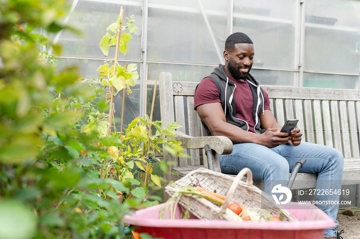 Man with smart phone sitting on bench in allotment