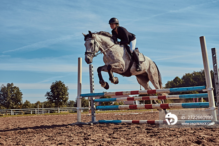 Female jockey on dapple gray horse jumping over hurdle in the open arena.