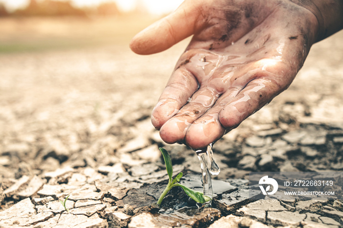 Hand for planting tree back to the forest, Creating awareness for love wild, To reduce drought.