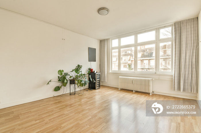 an empty living room with wood flooring and white walls, there is a plant in the corner of the room