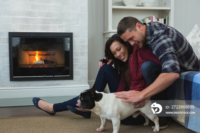 Couple relaxing with their pet dog in living room