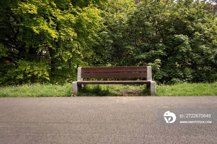 An empty bench by the park alley on a warm, sunny day