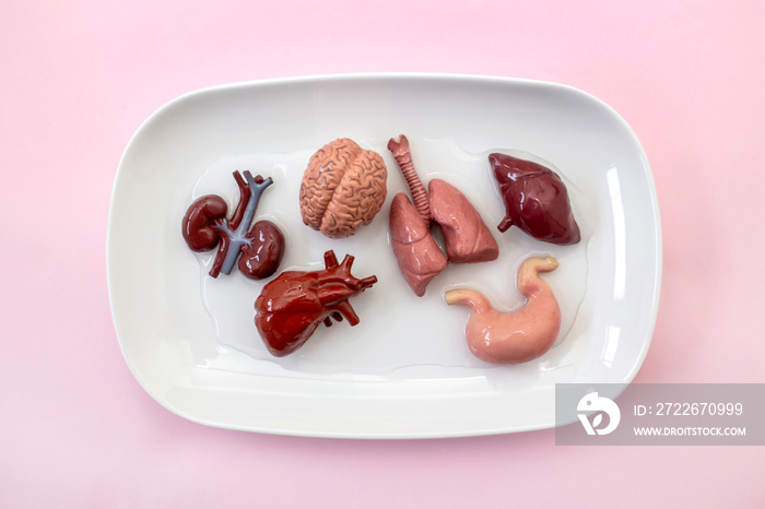 Human internal organs on white plate ready for organ transplant.