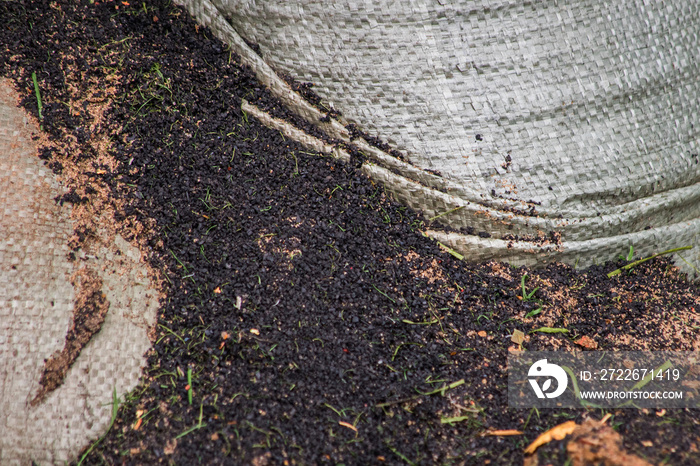 Bag with charcoal for fertilizer