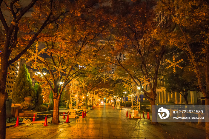 Midosuji street with night light illumination with many color of neon light show in Osaka, Japan on every November