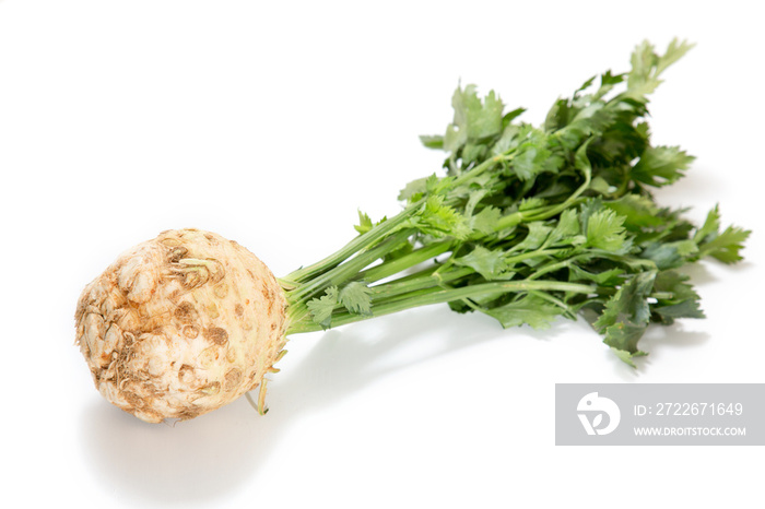Celery root and stem on a white background.