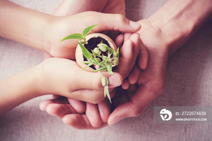 adult and child hands holding seedling plants in eggshells, eco gardening,  montessori, education, sustainability living concept