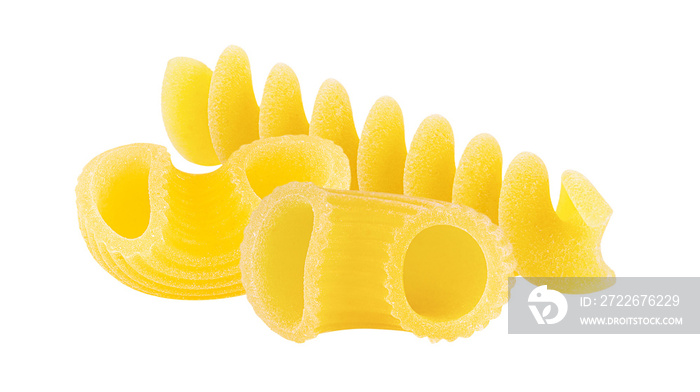 Macaroni Isolated on transparent png