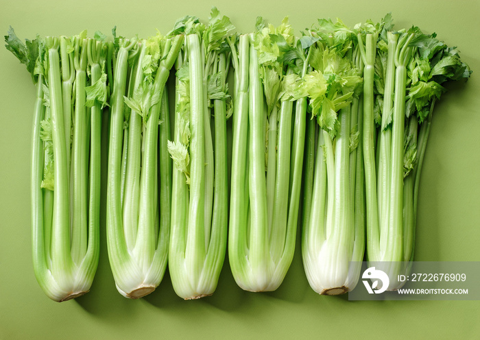 fresh bunches of celery on a green background