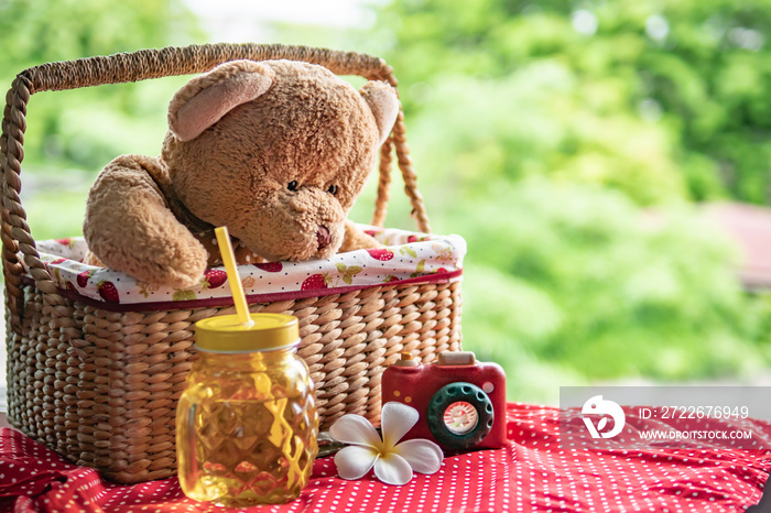 Teddy bear sitting in picnic basket