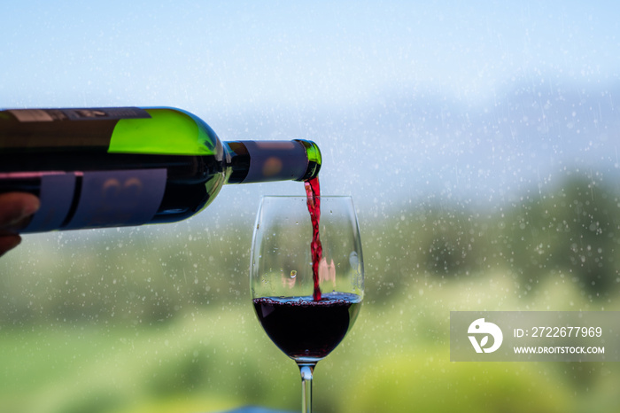 Pouring red wine into the glass against nature blurred background in rain