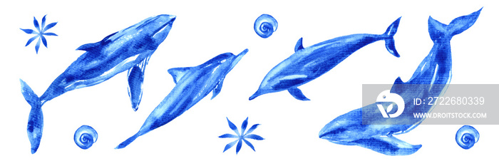 Watercolor set of ocean animals. Blue watercolor whale, dolphin, shell