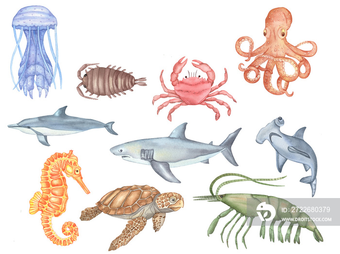 Watercolor Underwater creatures. Jelly Fish, Octopus, Sea Turtle, Sea Horse, Crab, Shark, Cancer and hammerhead fish