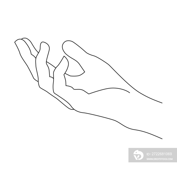 hand line art design element