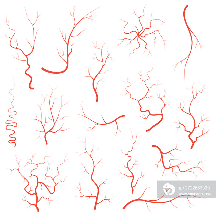 Human red eye veins set, anatomy blood vessel arteries illustration group.  medical eyeball vein arteries system map. Veins isolated on white background