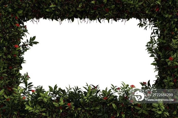 Green leaves and Aucuba Japonica border isolated on transparent background - 3D Illustration