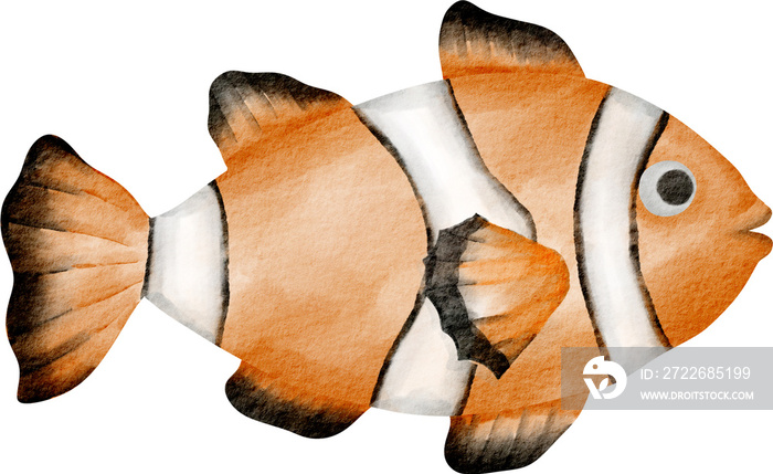 clownfish watercolor