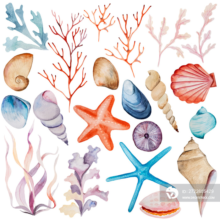 Watercolor Underwater seaweeds, corals and seashells. Hand drawn Illustration elements