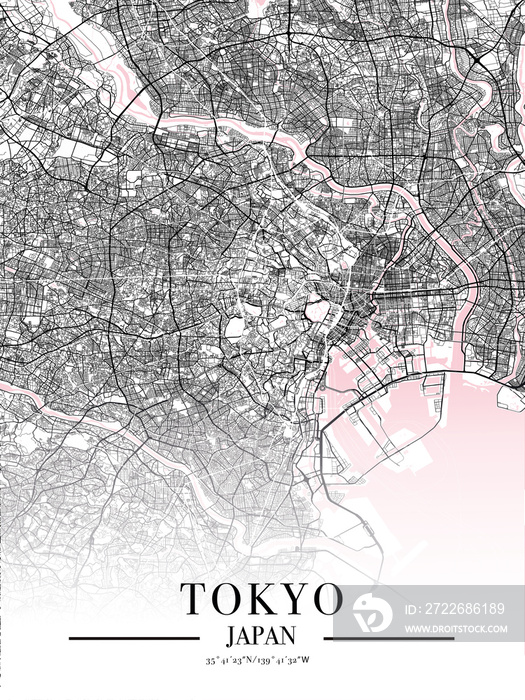 Tokyo city map poster print. Detailed map of Tokyo (Japan).