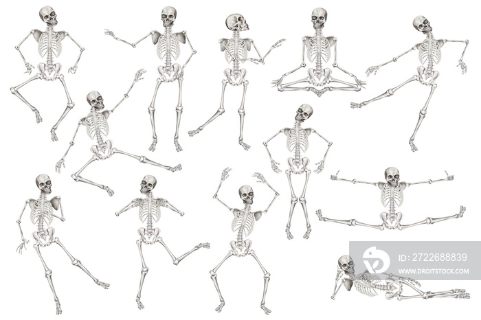 Human skeleton poses. Halloween clip art set on white background