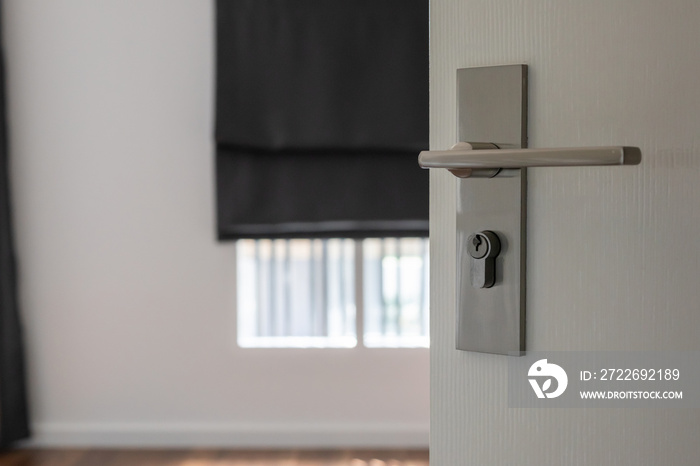 Modern door handle on white door with room interior