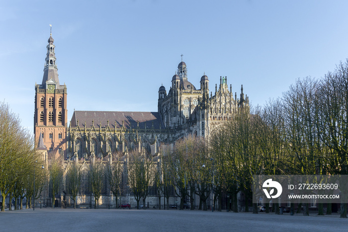 Cathedral Church of St. John (Sint-Janskathedraal) of ’s-Hertogenbosch, Netherlands