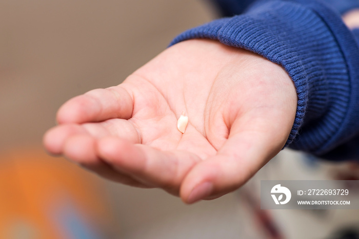 The child holds a fallen tooth on the palm of his hand. Milk tooth on the palm. First tooth lost