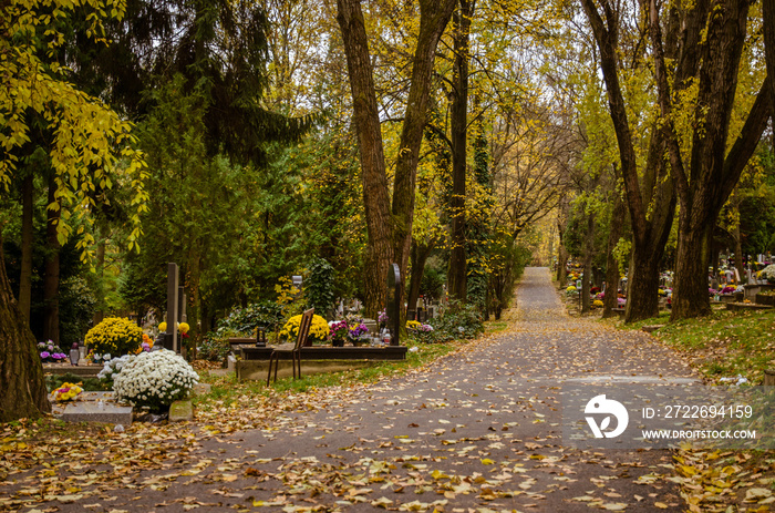 autumnal aisle path in the cemetery