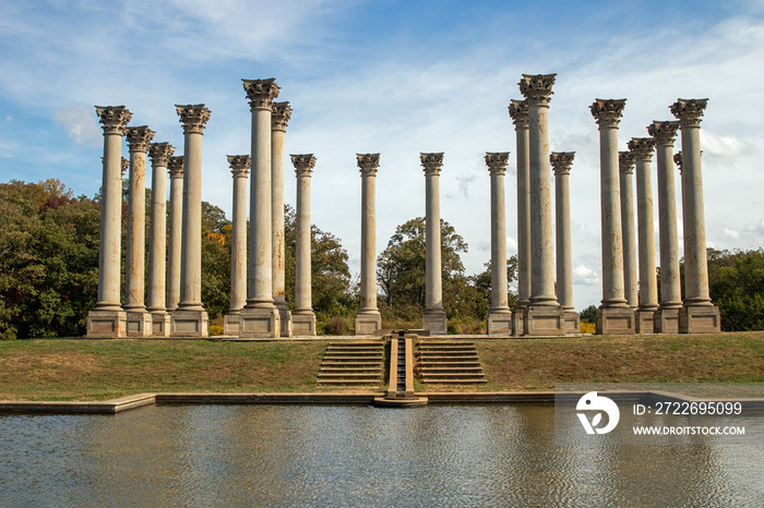 Old columns from the US Capitol at the National Arboretum