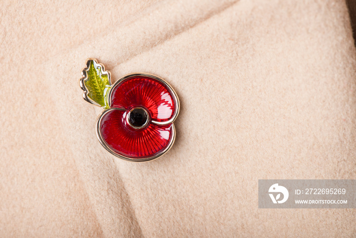 Red Poppy Pin as a Symbol of Remembrance Day