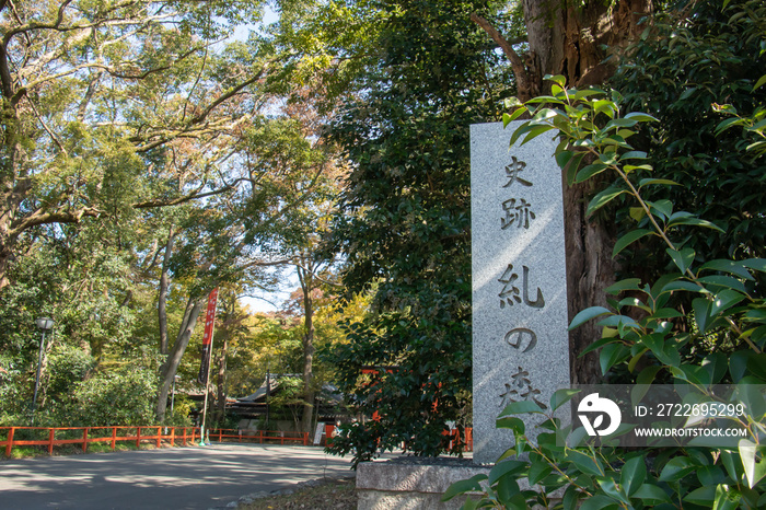 京都　糺の森