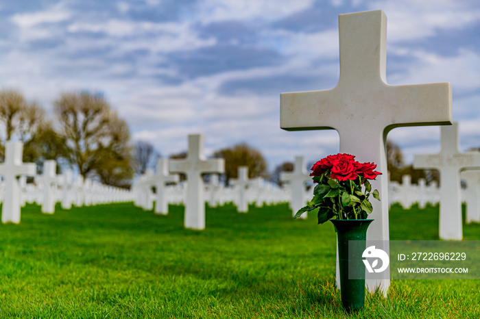 cross with a vase with red roses in the American Cemetery Margraten in the Netherlands Holland europe